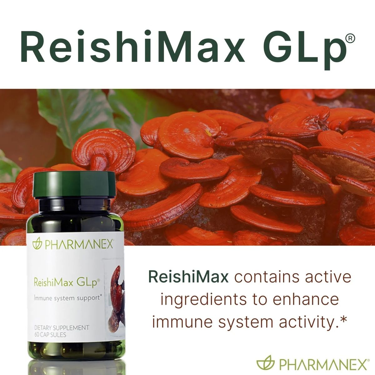 Pharmanex® ReishiMax GLp® — view 3