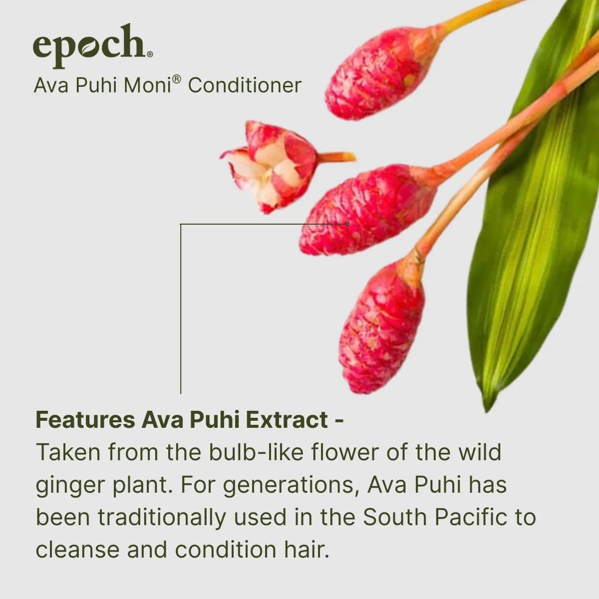 Epoch® Ava Puhi Moni® Conditioner — view 3