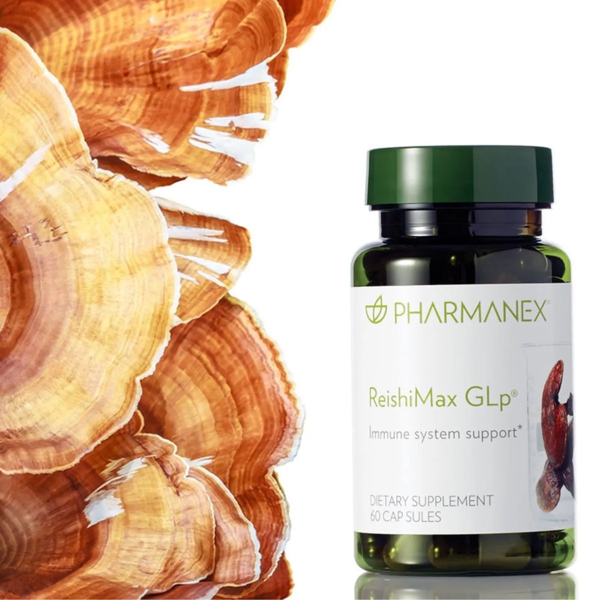 Pharmanex® ReishiMax GLp®