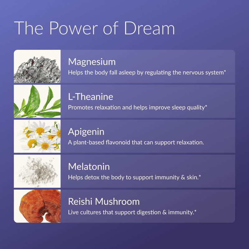 Dream — view 3