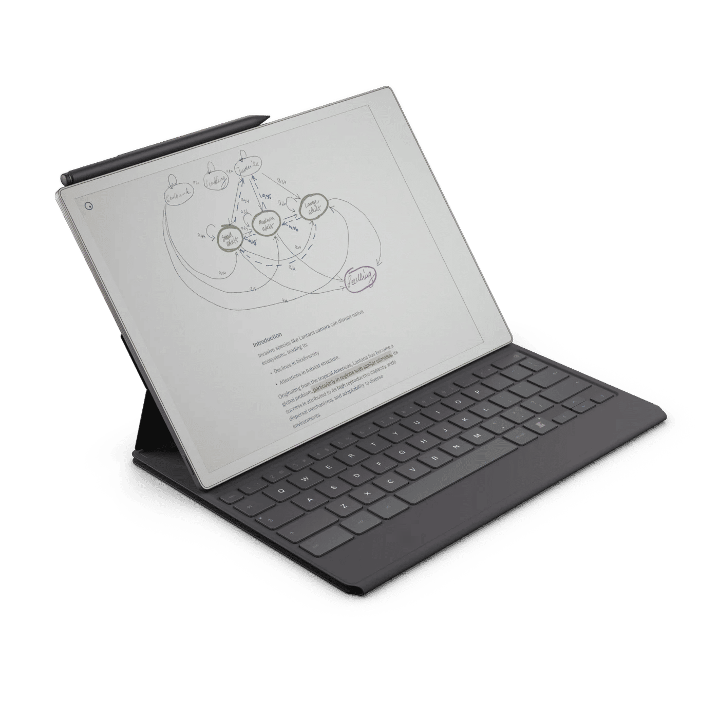 Type Folio
