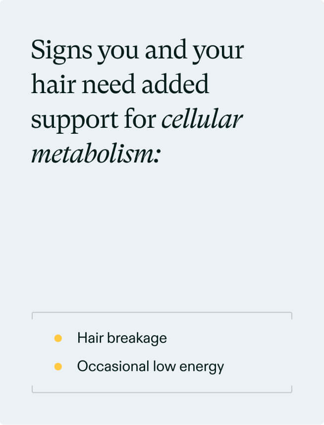 Hair Growth + Longevity Duo — view 5