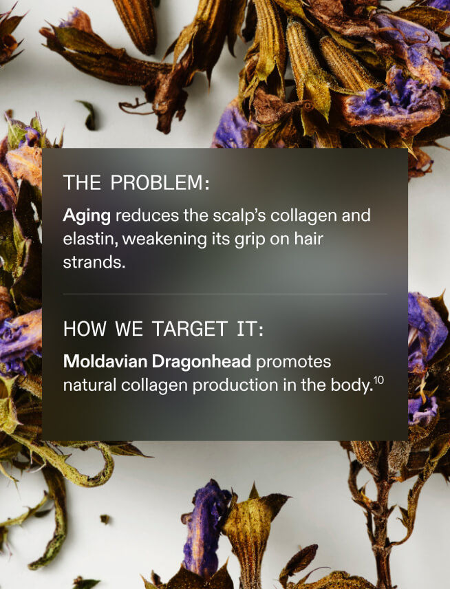 NUTRAFOL MEN 50+ — view 11