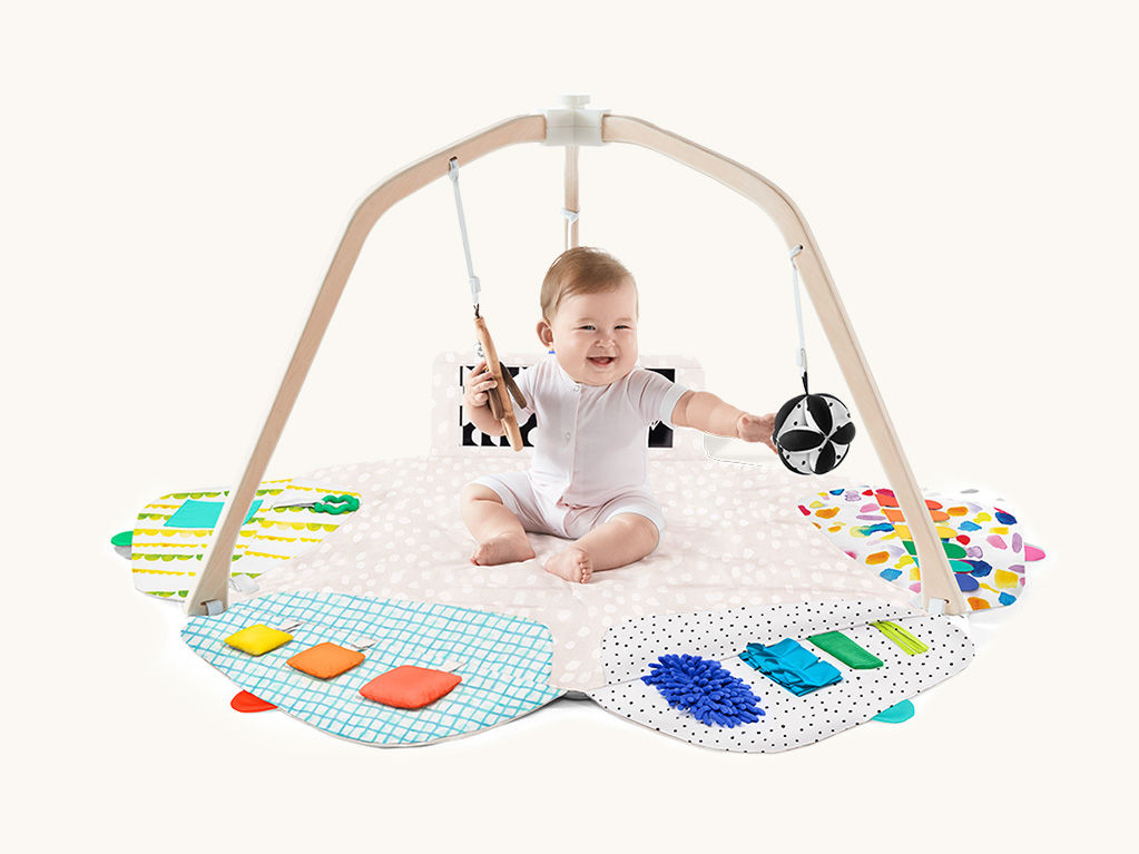 The Play Gym — view 1