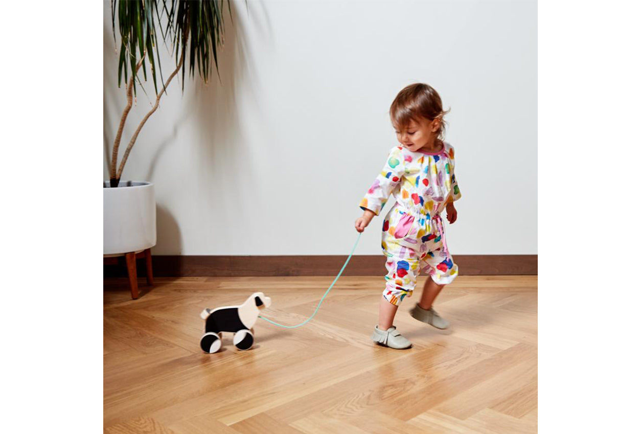The Pull Pup — view 5