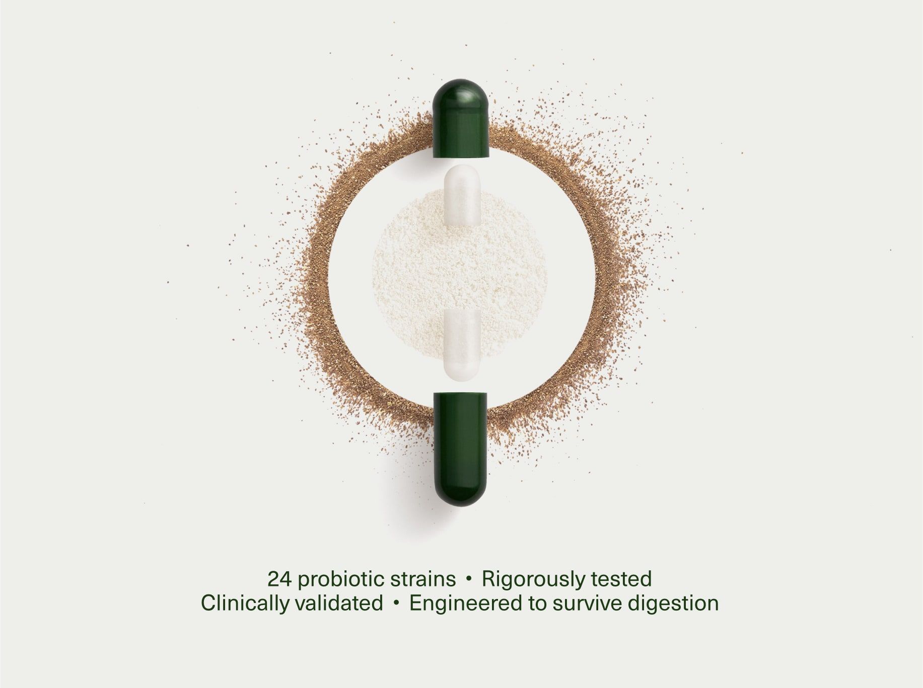 DS-01® Daily Synbiotic Monthly Refill — view 4