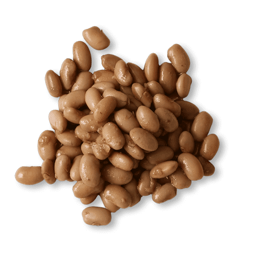 Pinto Beans