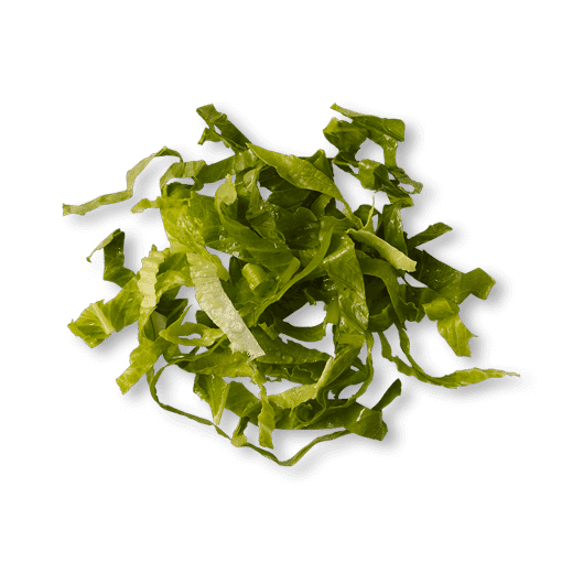 Romaine Lettuce