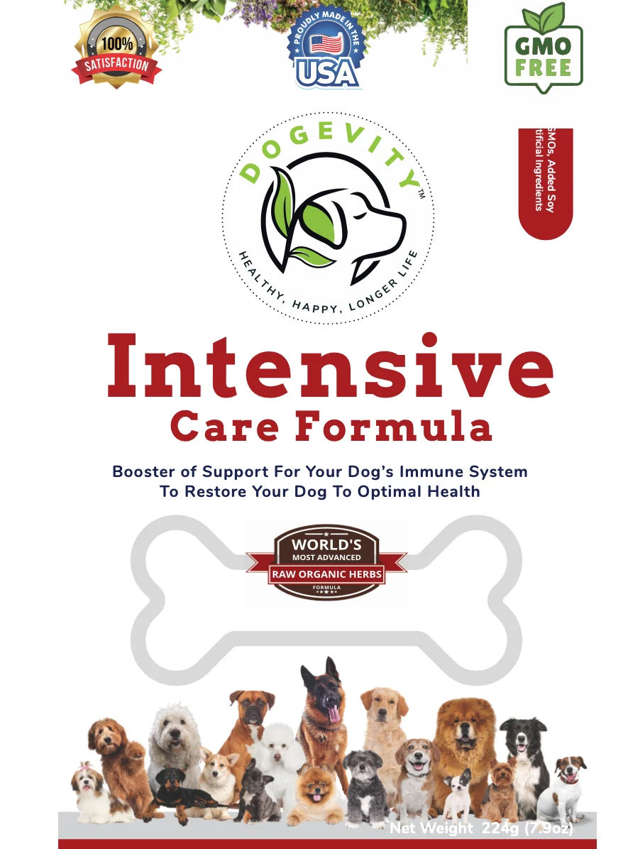 Pet Supplies