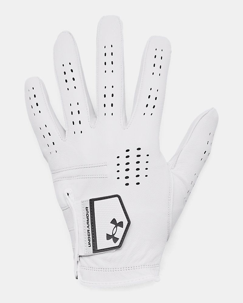 UA Drive Tour Men's Glove
