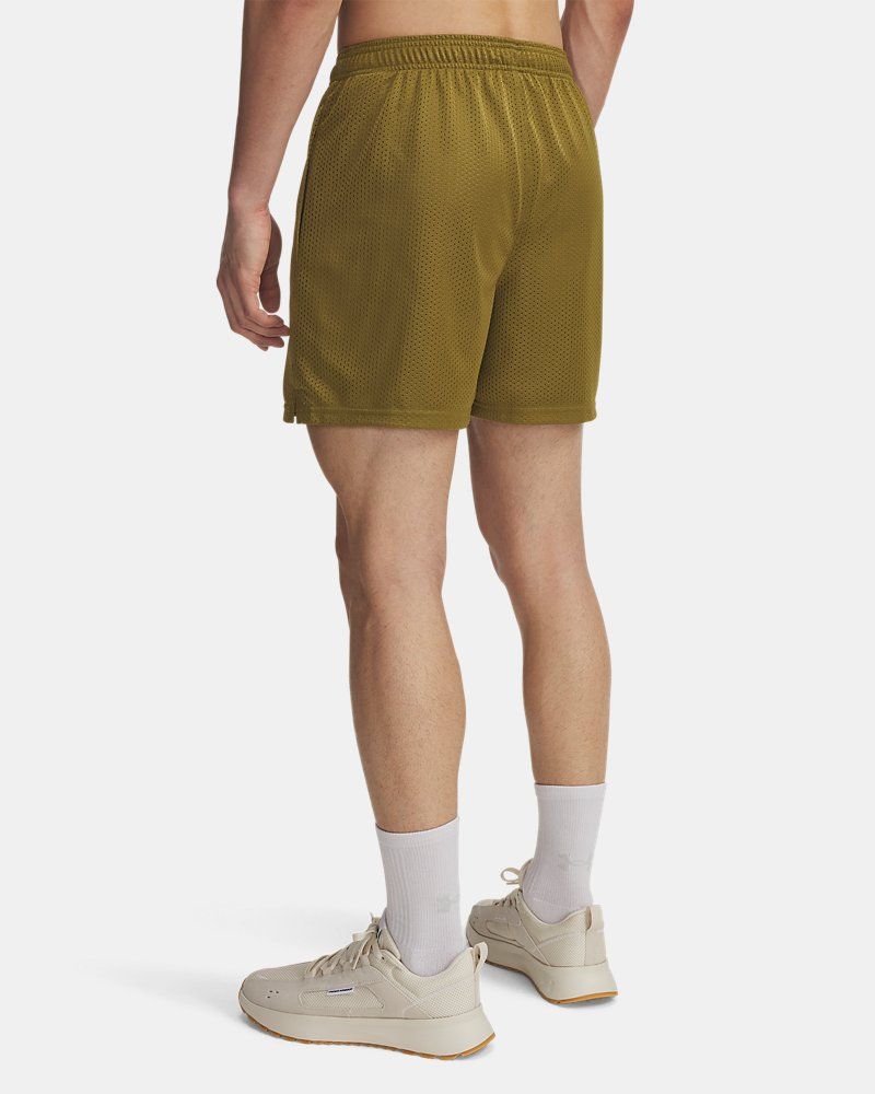 UA Icon Mesh Men's 5" Shorts — view 79
