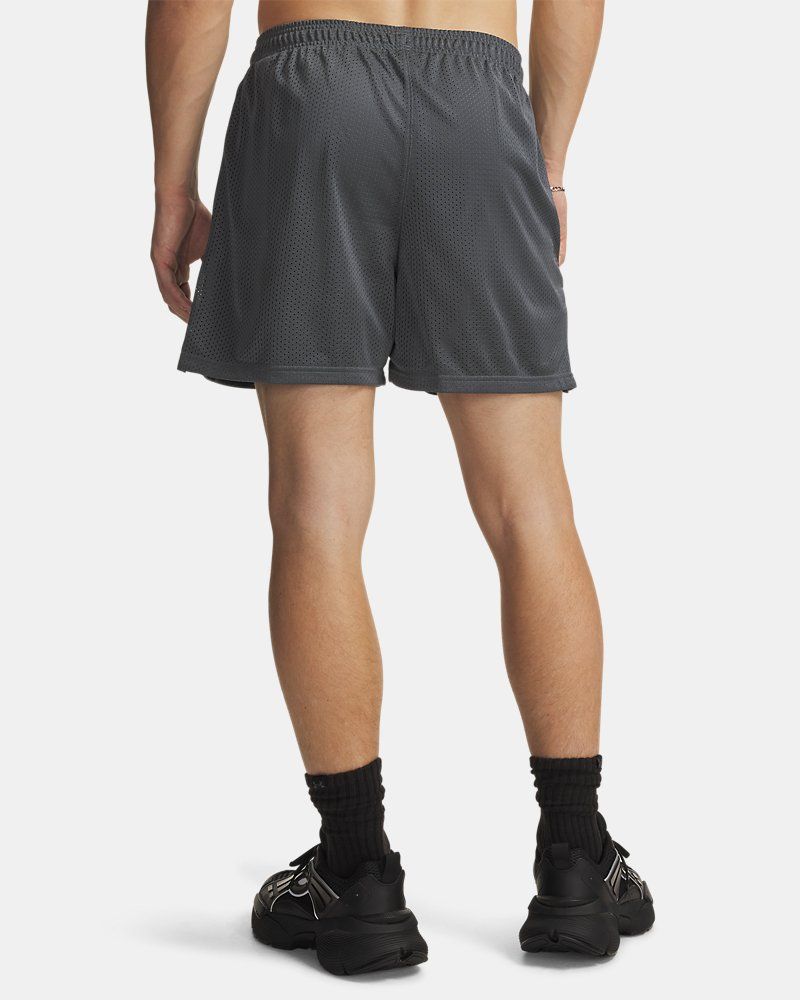 UA Icon Mesh Men's 5" Shorts — view 12