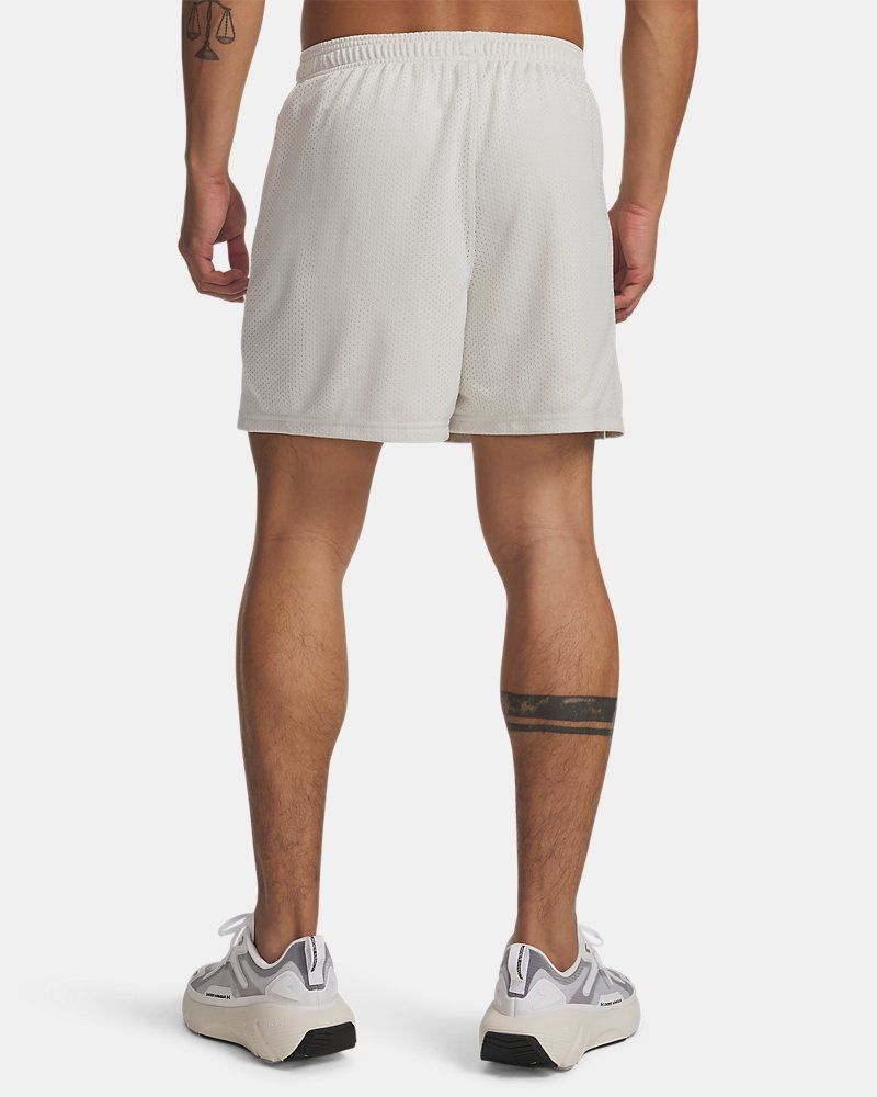 UA Icon Mesh Men's 5" Shorts — view 23