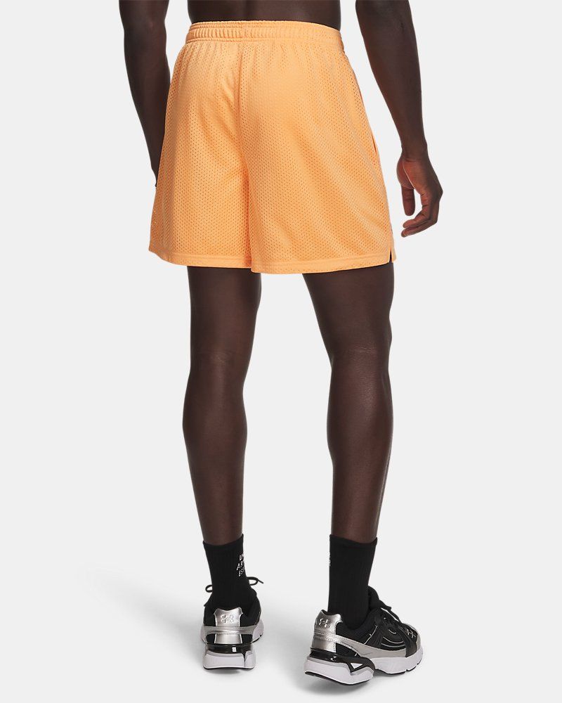 UA Icon Mesh Men's 5" Shorts — view 76