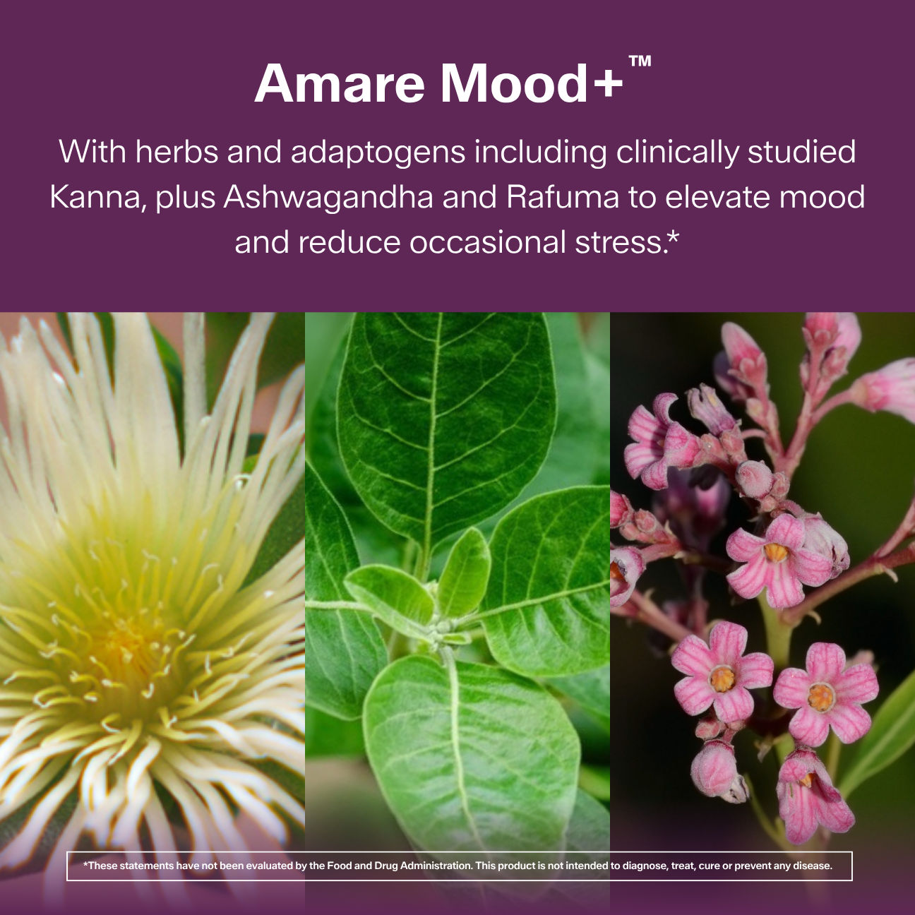 Amare Mood+™ — view 3