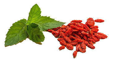 Dihydroberberine