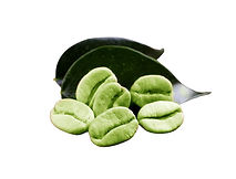 Green Coffee Bean Extract