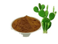 Caralluma Fimbriata Powder