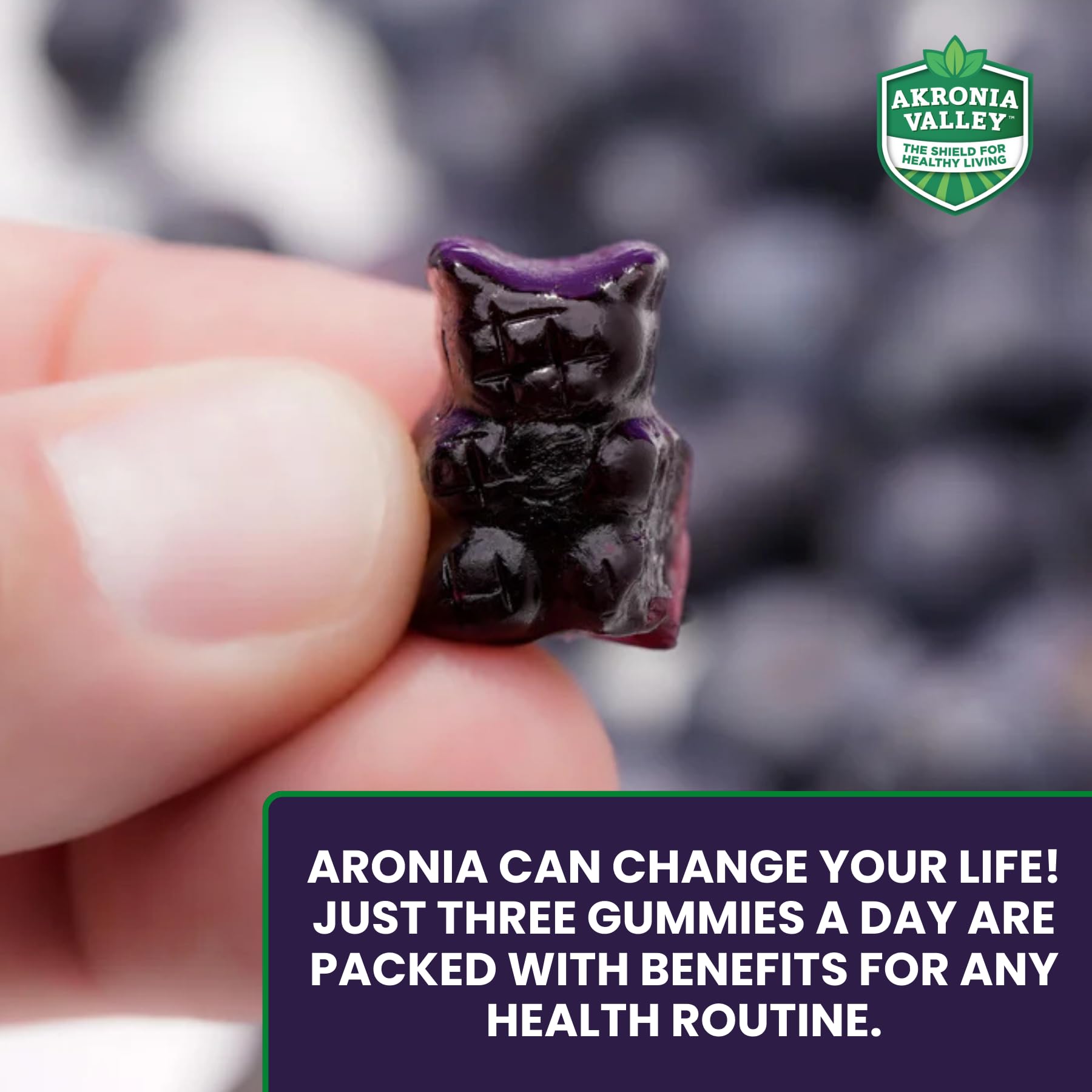 Akronia Valley Aronia Berry Gummies | Immune Support, for Health and Wellness, Delicious Aronia Flavor — view 4
