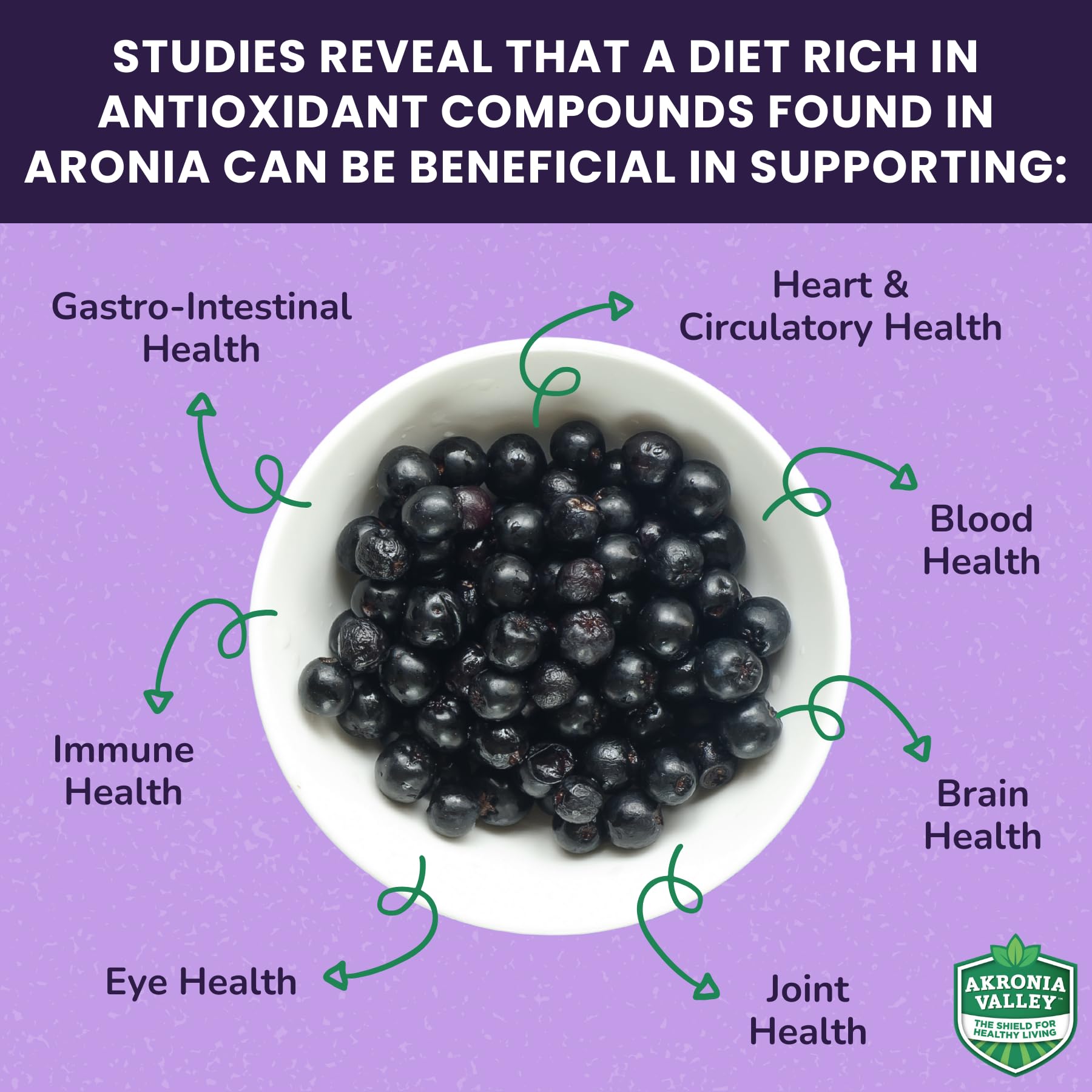 Akronia Valley Aronia Berry Gummies | Immune Support, for Health and Wellness, Delicious Aronia Flavor — view 6