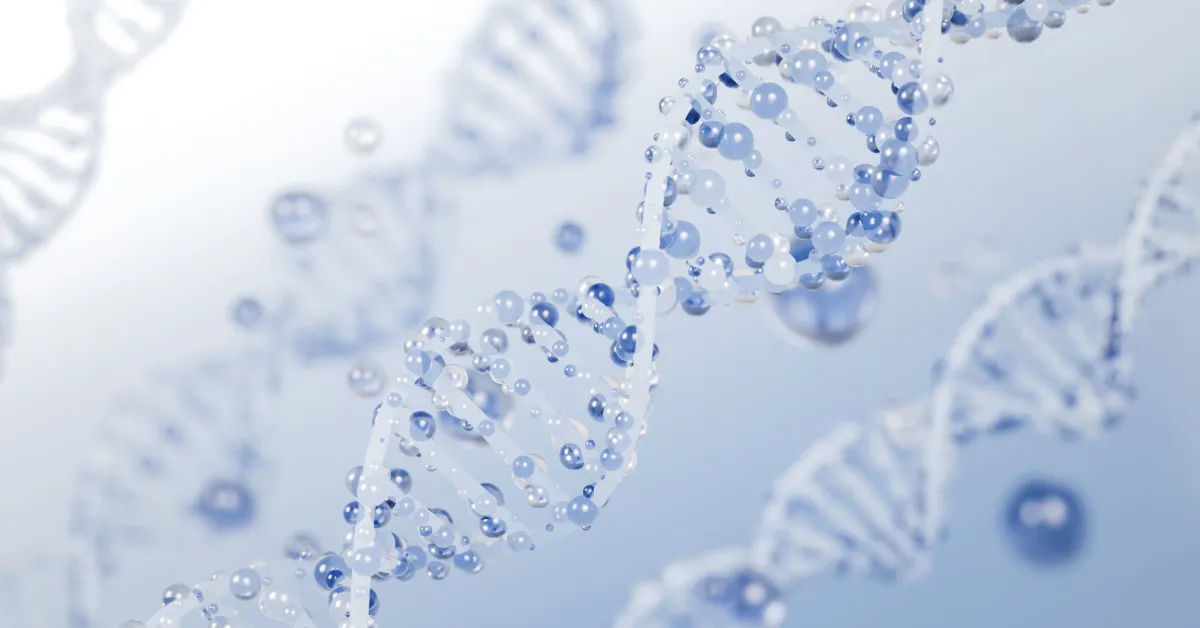 A Beginner's Guide to Peptides: What They Are and How They Work