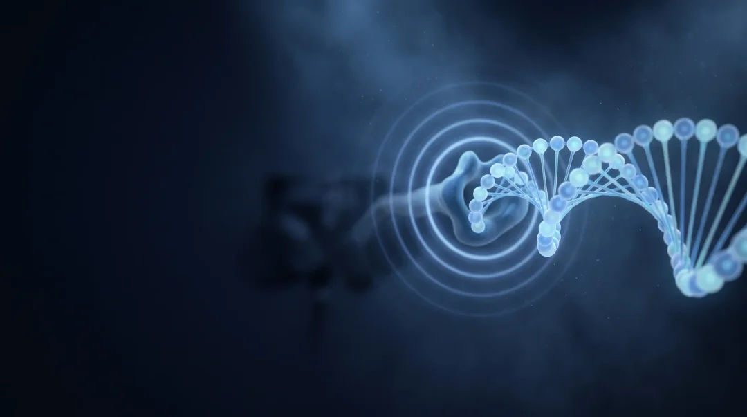 DNA strand illustration for peptide research