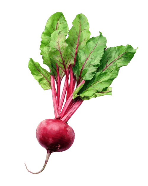Beetroot