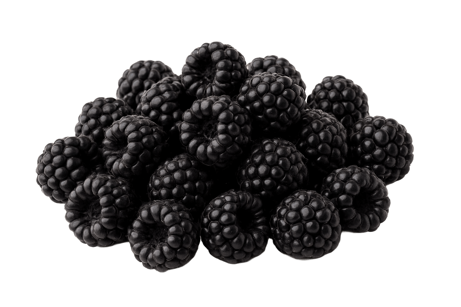 Black Raspberry Seed