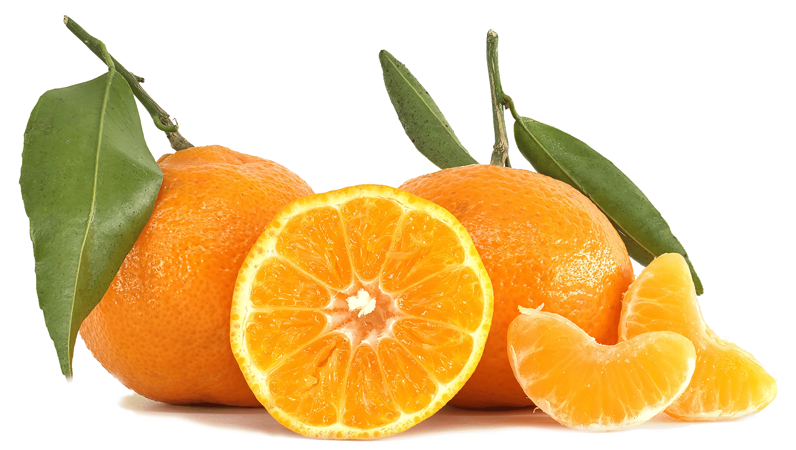 a bunch of oranges fresh from the vine.