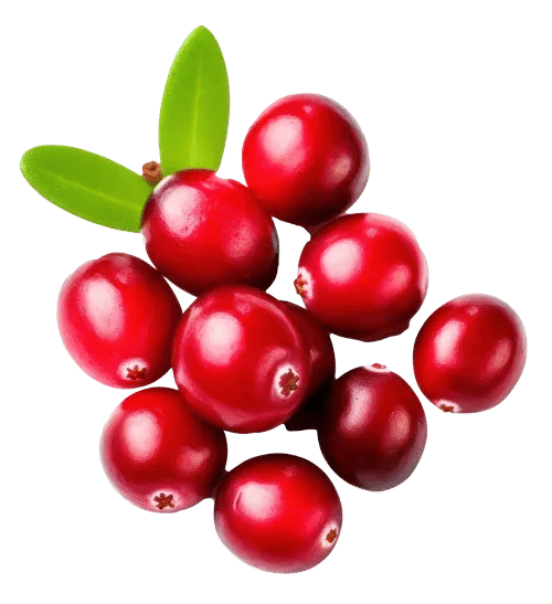 Cranberry Seed Powder