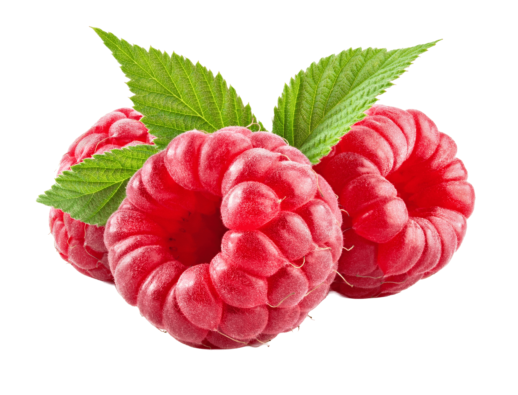 Red Raspberry