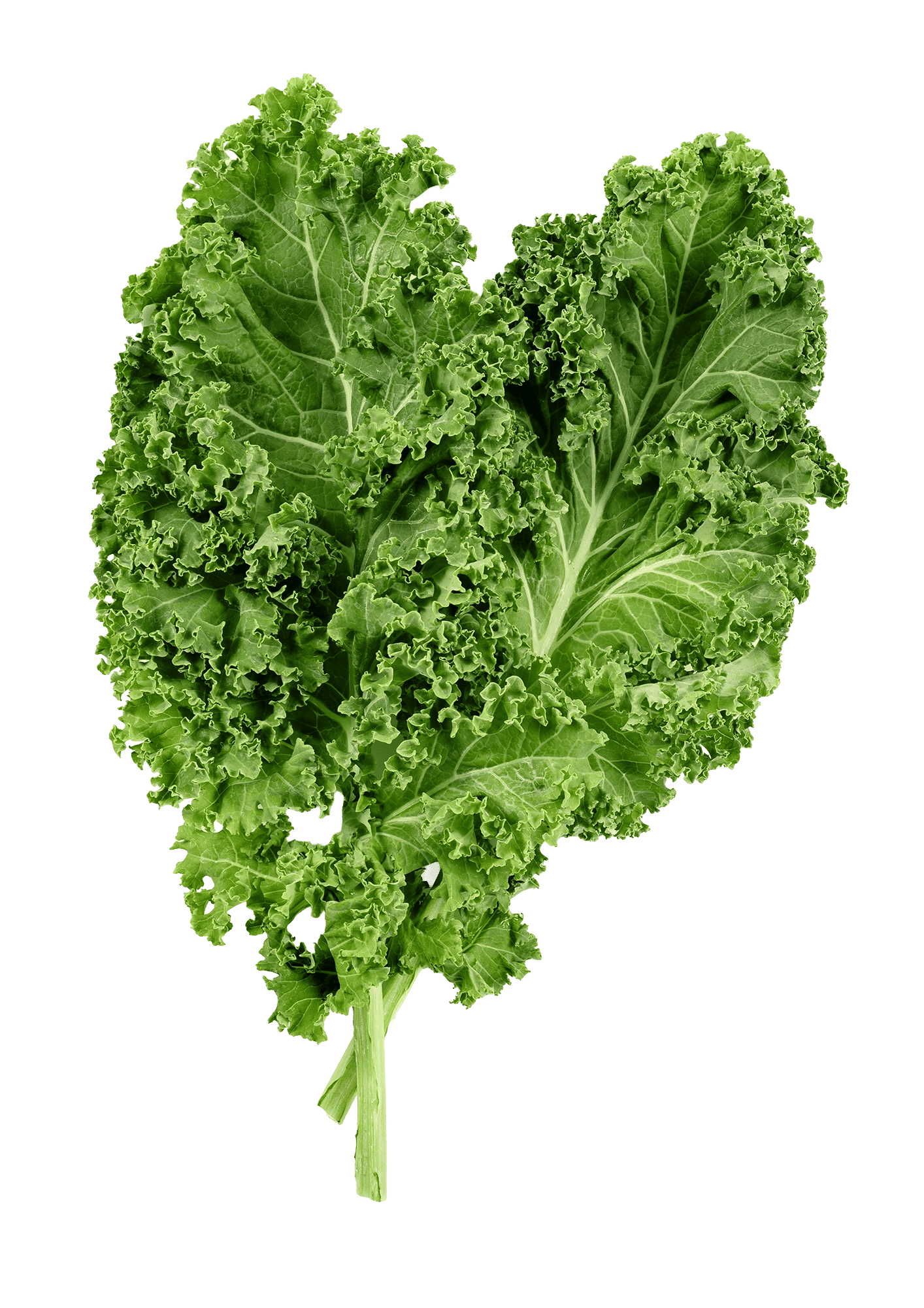 Kale