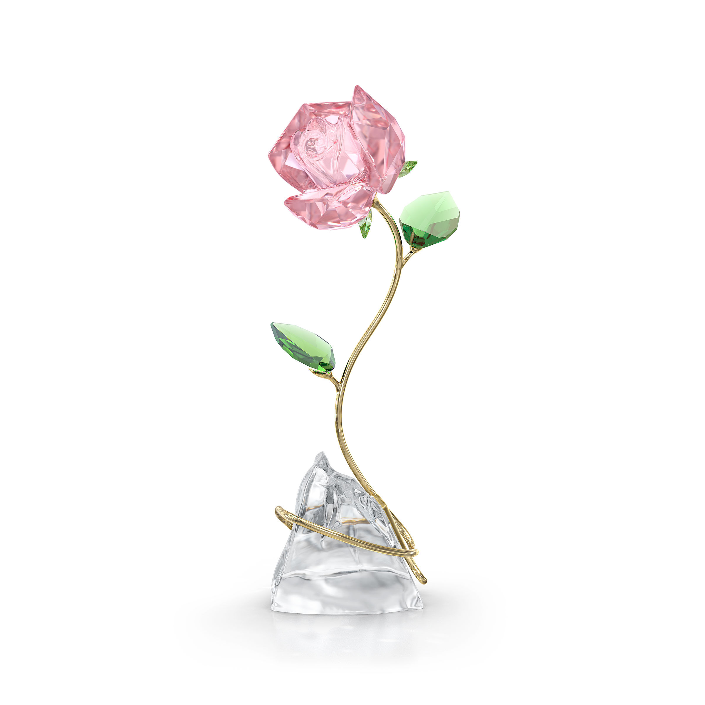 Florere Rose
