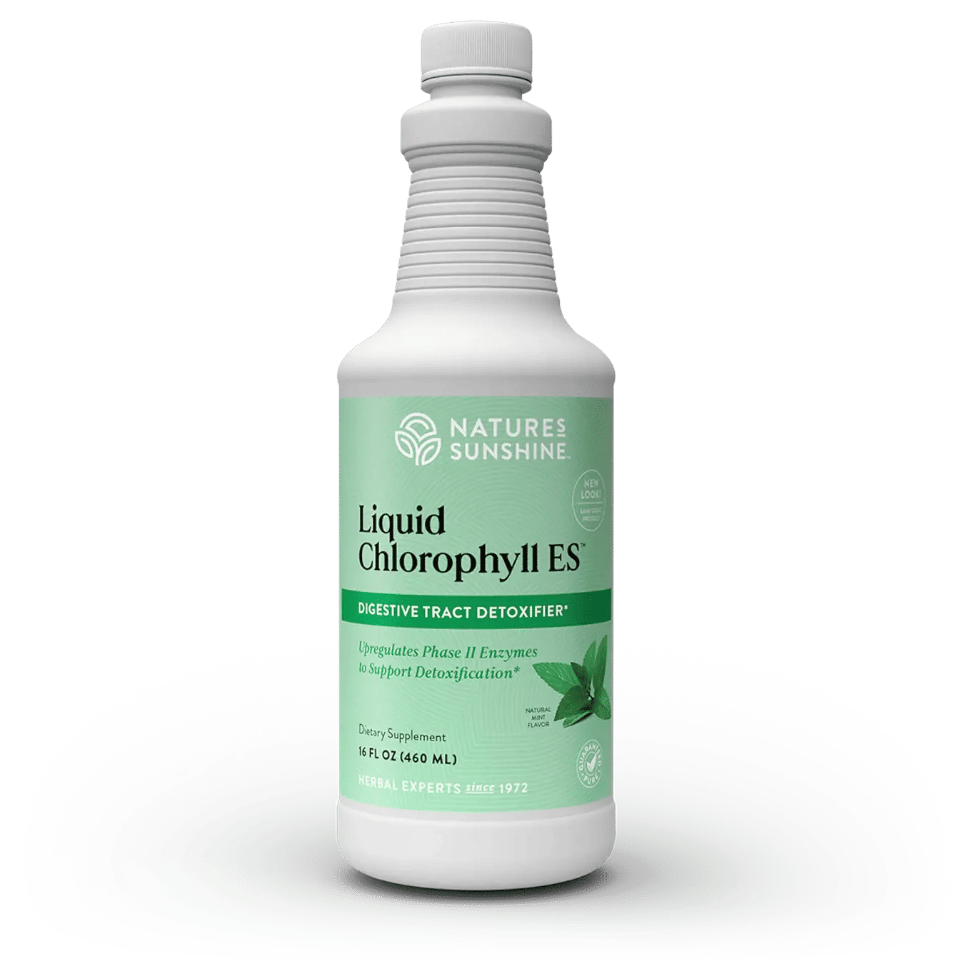 Extra Strength Liquid Chlorophyll for Gut Health