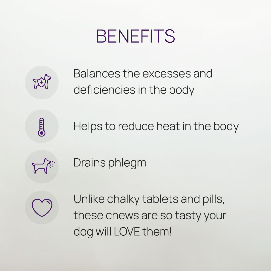 Allergy Support Plus Carousel 3