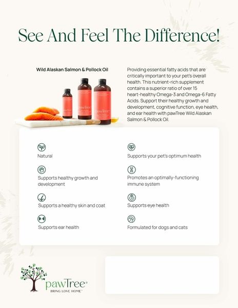Salmon Oil Benefits
