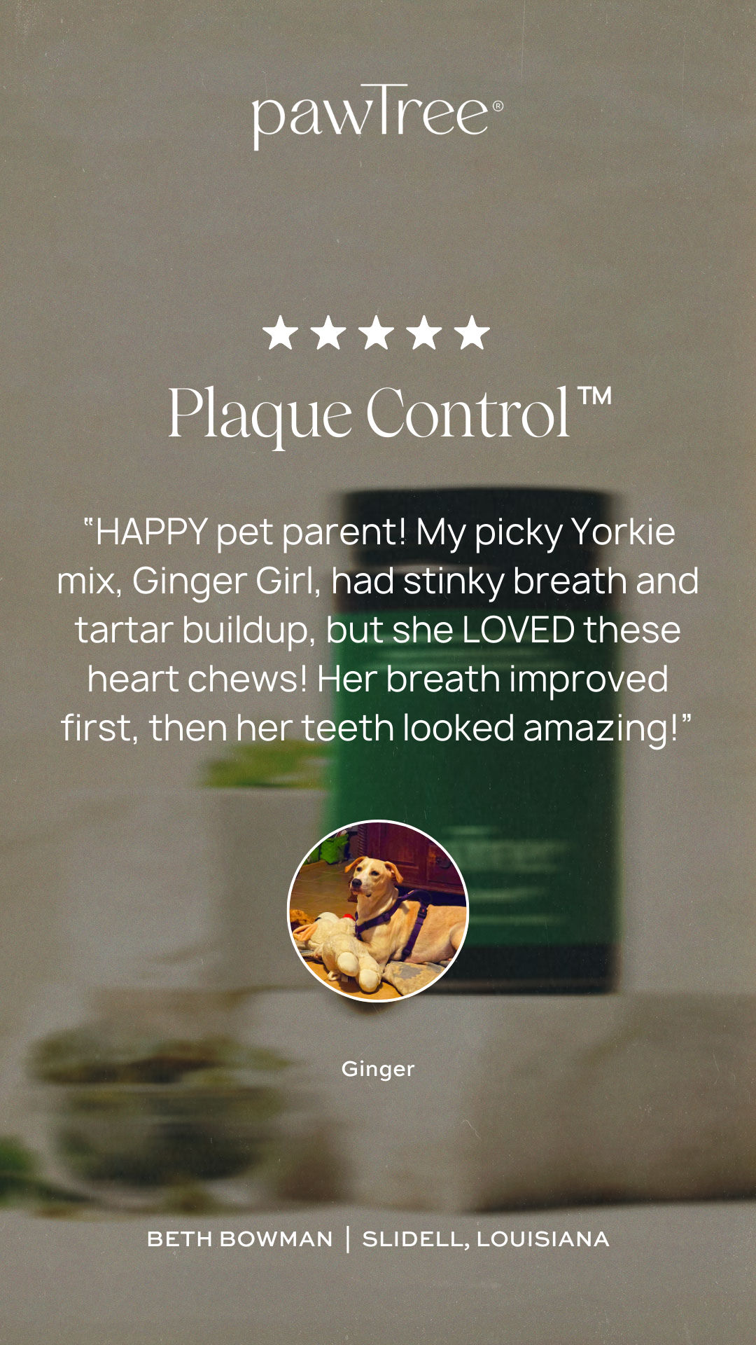 Plaque Control Testimonial 3