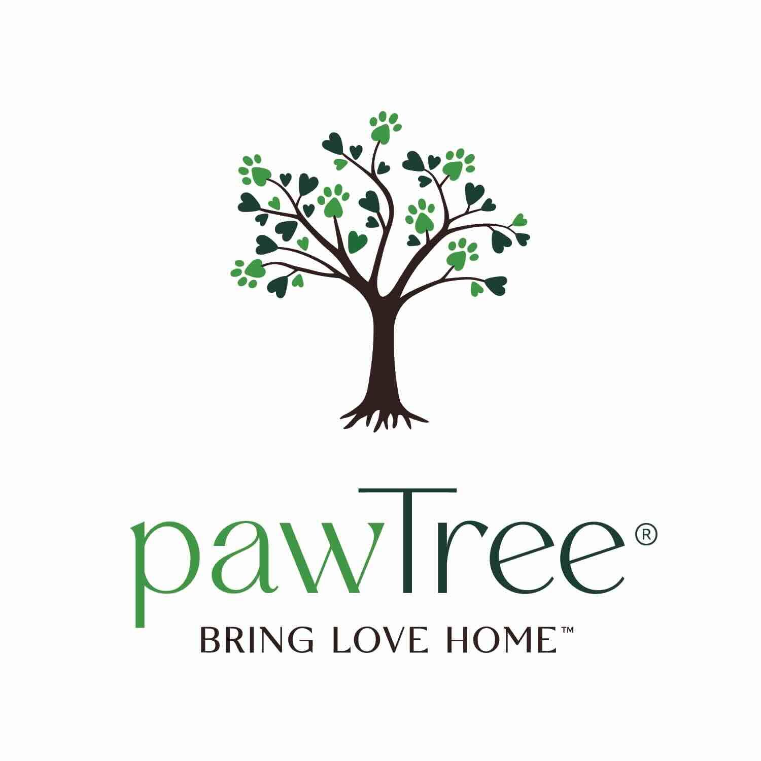 site logo