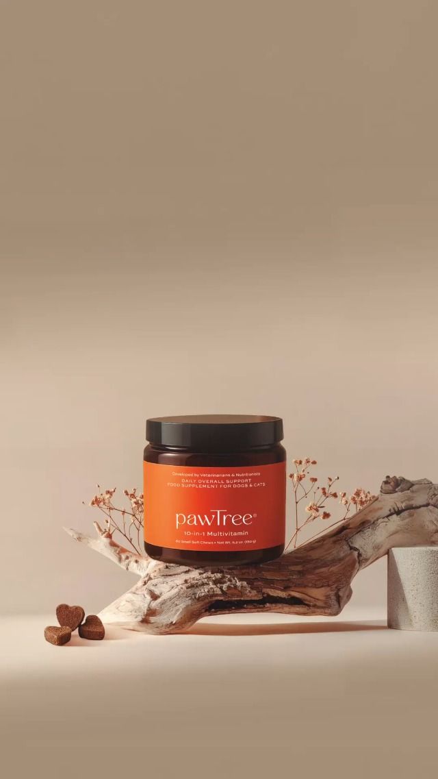 10-in-1 Multivitamin Reel 1