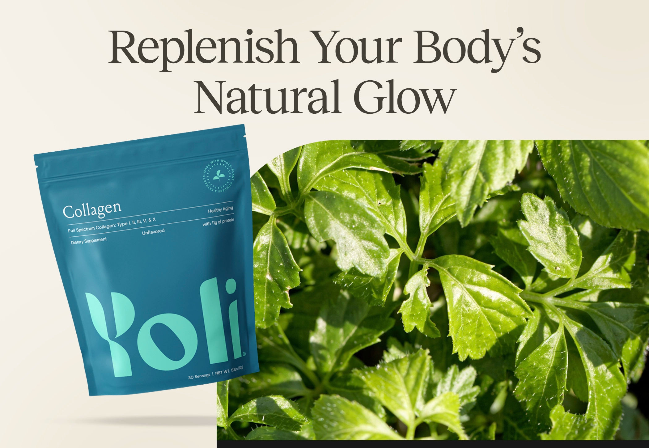 Collagen