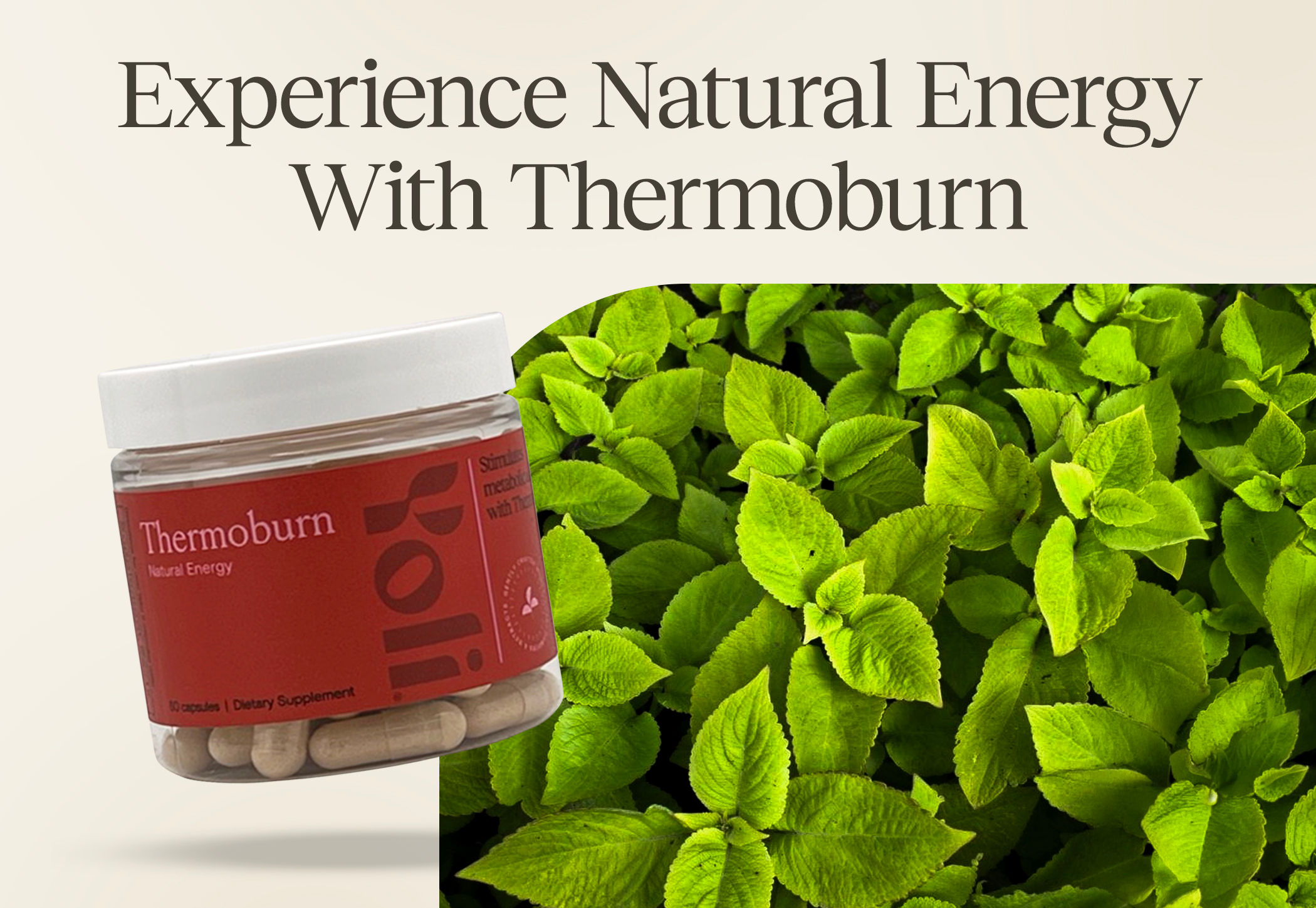 Energy Capsules – Thermoburn