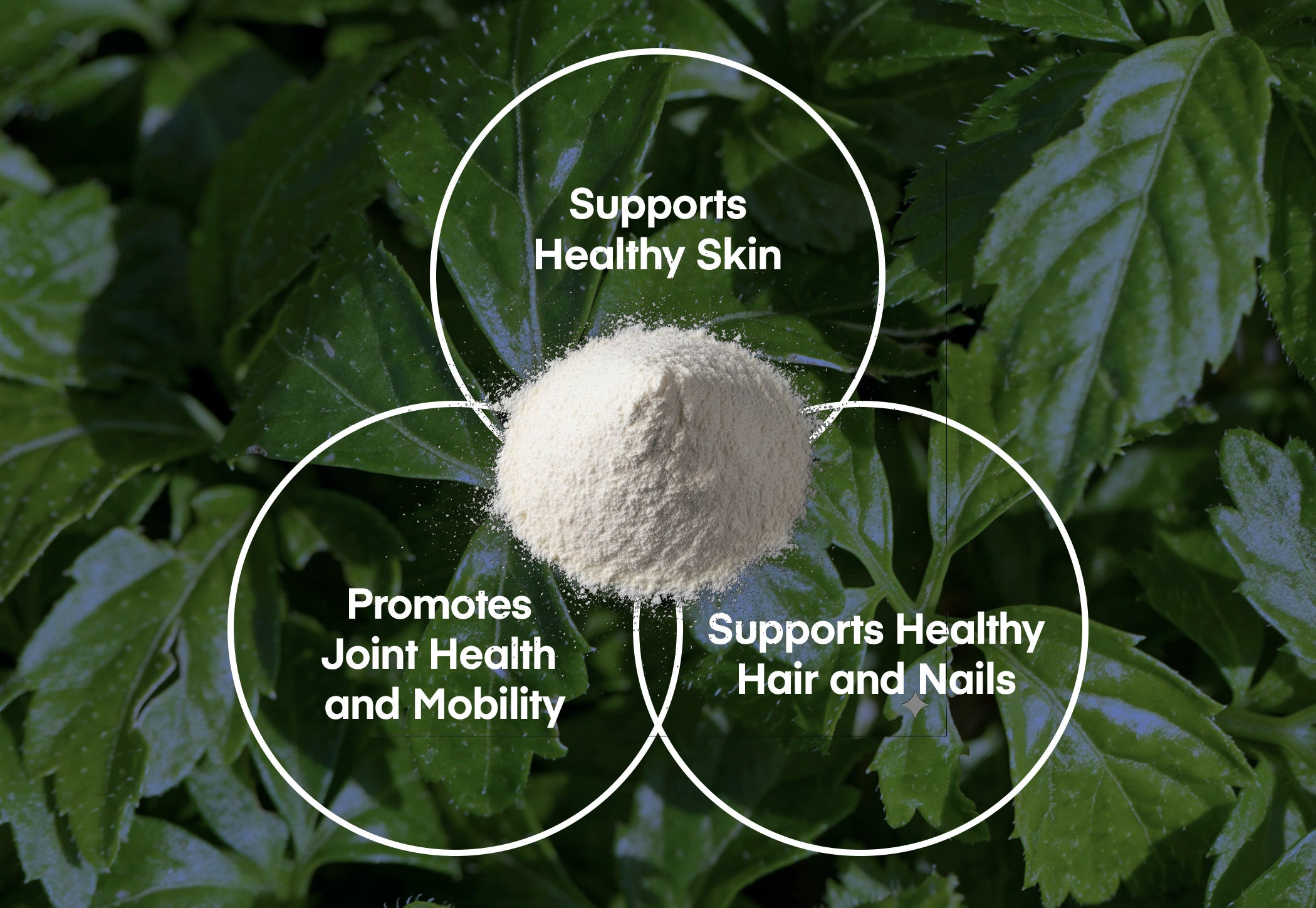 Collagen
