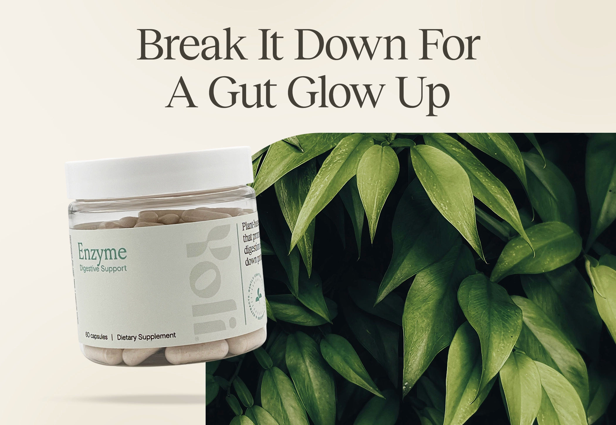 Enzyme