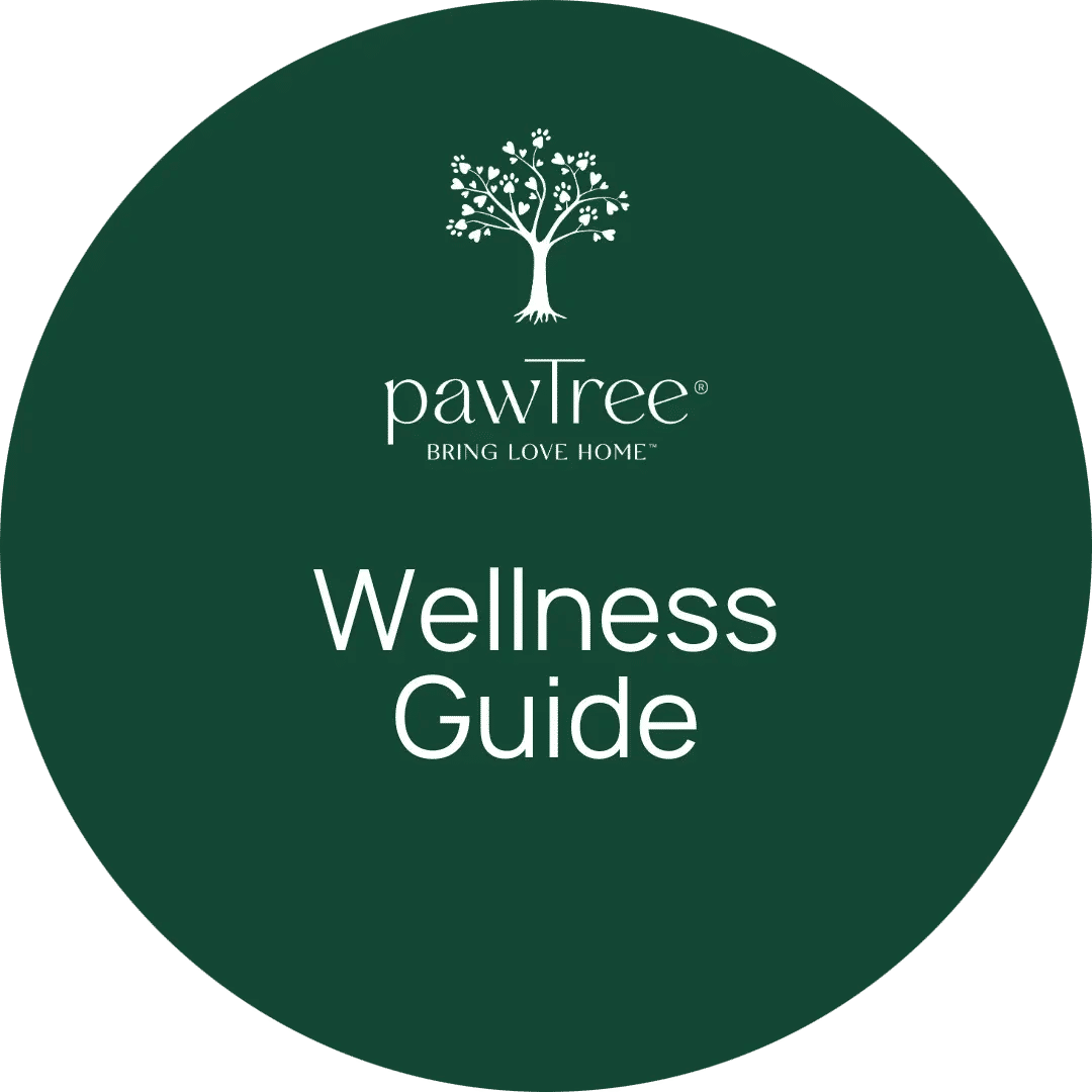 Wellness Guide Link
