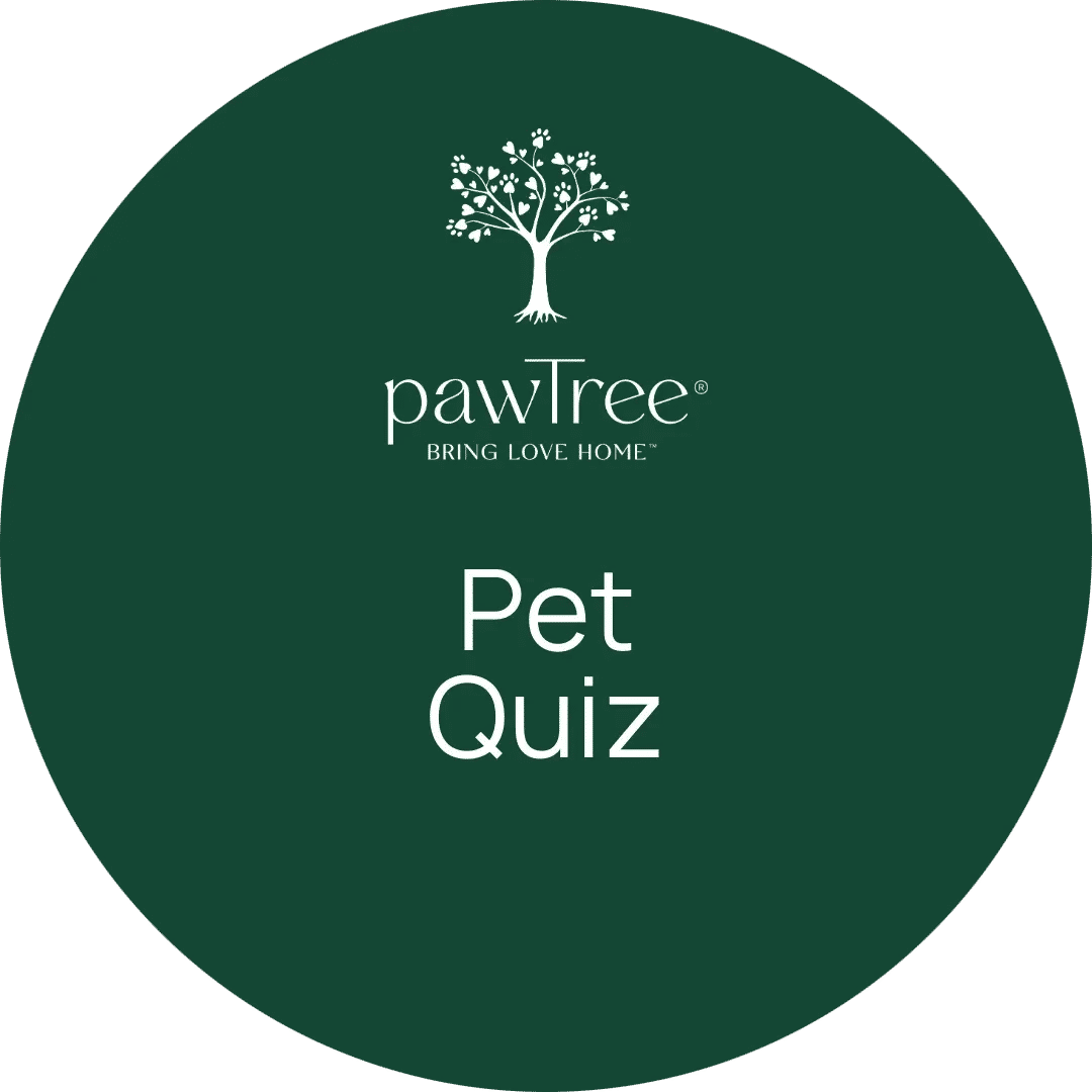 Pet Quiz Link