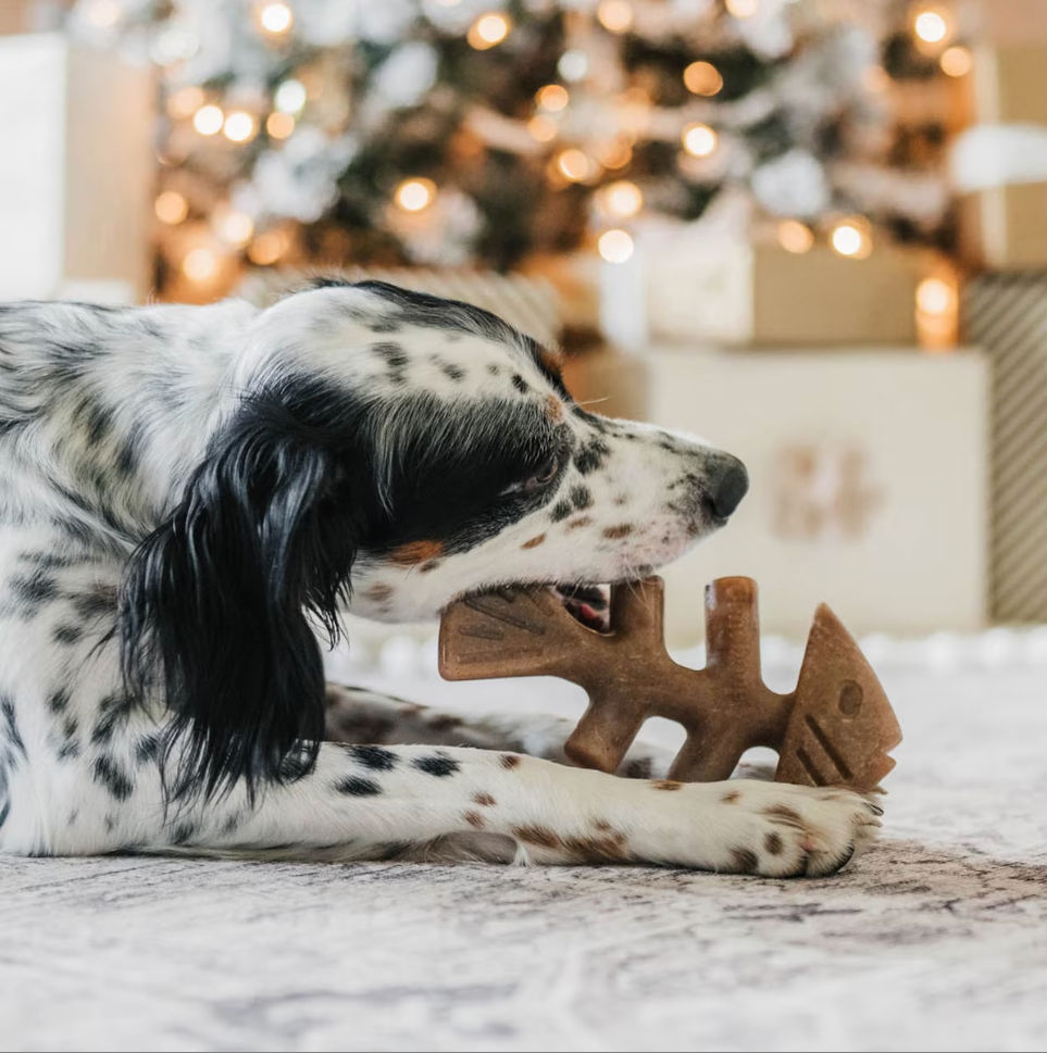 Benebone Multipack Durable Dog Chew
