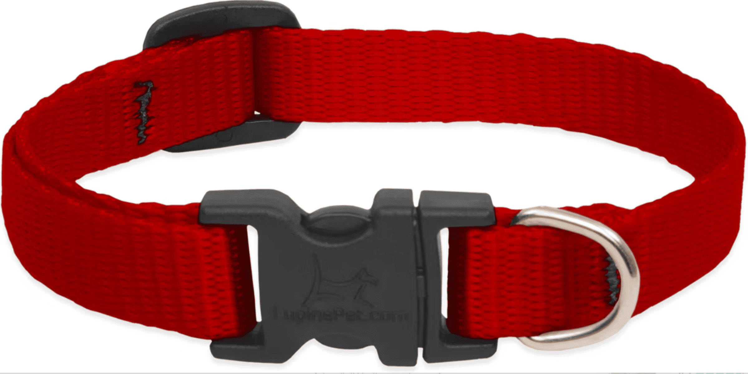 LupinePet Basic Solid Dog Collar