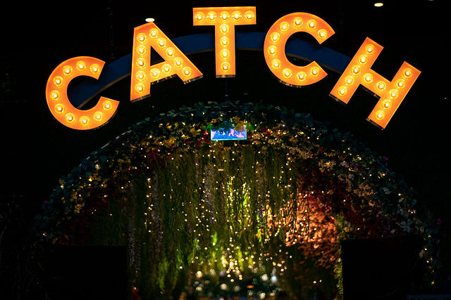 Catchup product July 7