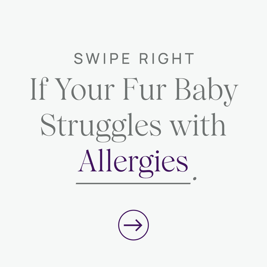 Allergy Support Plus Carousel 1