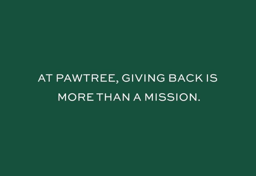 pawTree Philanthropic Video- Horizontal